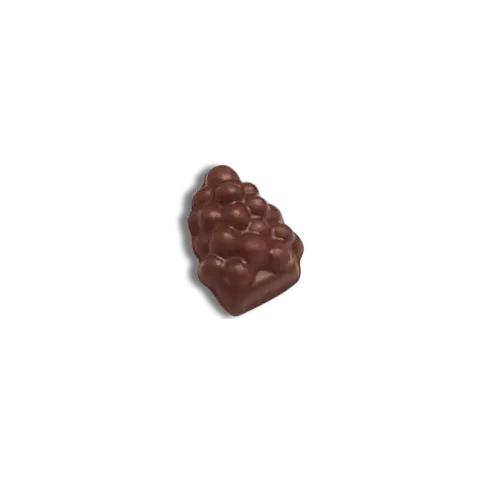 RACIMO DE UVA DE LECHE